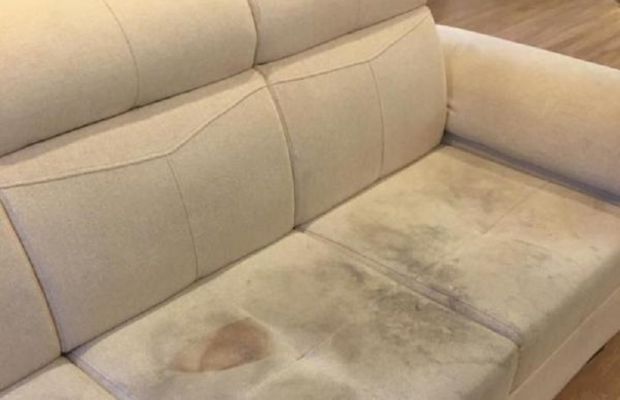 sofa nỉ nhung bị nấm mốc gây mất thẩm mỹ 