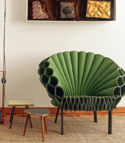 Peacock chair chim công nghệ thuật cho studio HT579