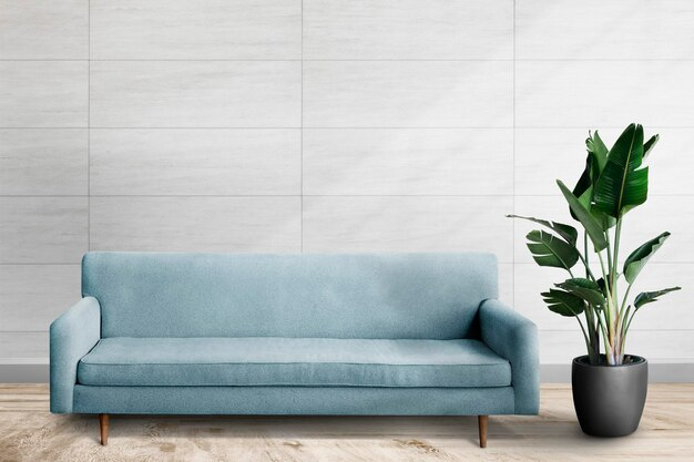 Tường trắng kết hợp với sofa xanh