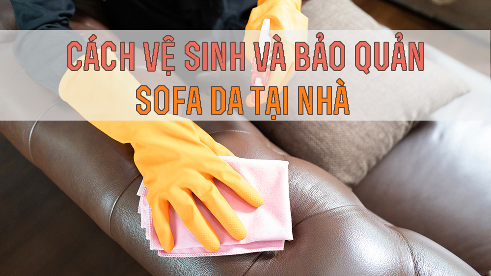 Vệ sinh và bảo quản sofa da tại nhà 