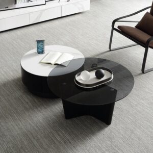 Bàn sofa bàn coffee phòng khách Minimalist FSL116